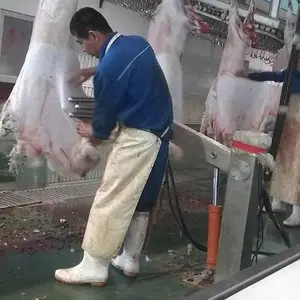 图和厂家直供羊扯皮机 猪牛羊液压剥皮机 不锈钢扯皮机