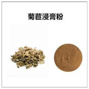 菊苣浸膏粉 萃取粉 可水溶 棕黄色粉末 沃特莱斯生物
