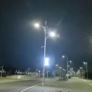 来宾兴宾玉兰高杆道路灯杆景观防水庭院灯支持定制