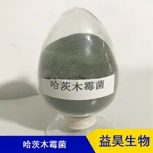 ������� ȫˮ�ܹ���ľù�� ����***�����л��� ΢��������ṩ
