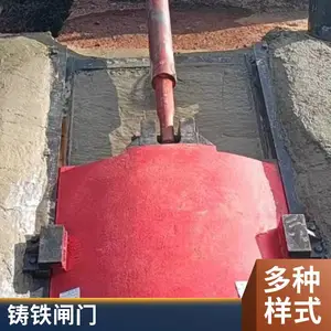 ��Ӧ�綯��բһ������բ�� DPZ˫��������բ��