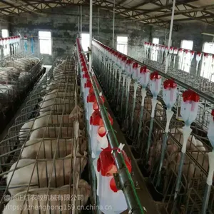 养猪全自动料线 母猪定量料线 养殖自动化输送喂料上料系统