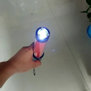 维和时代红蓝交通指挥棒