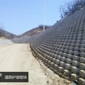 河北钦芃渗滤砌块生态砖