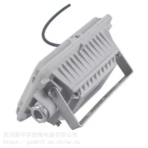 华荣 炼化厂LED防爆灯10w 制药厂LED防爆灯40w 批量供应