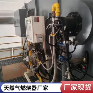 岱鼎燃烧 干燥炉 水套炉燃油生物质气天然气燃烧机源头厂家