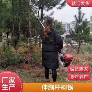 ��֦�;����ͱ������ĳ����֦���ҽ���������ľ���֦������