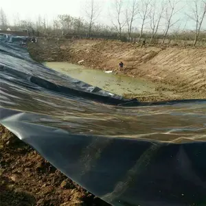 ������ֳ����Ĥ��������