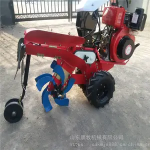 ��������ַ������� ��԰���������� ����ʽ������¢��
