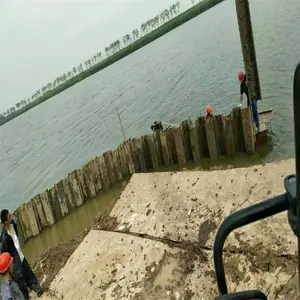 �ߺ���ɭ�ְ�׮ʩ�� �ְ�׮����ʩ������