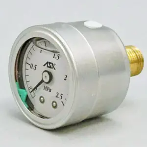 ASK ����ѹ���� OPG-DT-R1/4-39X10MPA-S �������