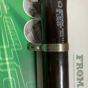 Danotherm �ƶ����� GRV 30/265 1K0��ŵɭķ ԭװ