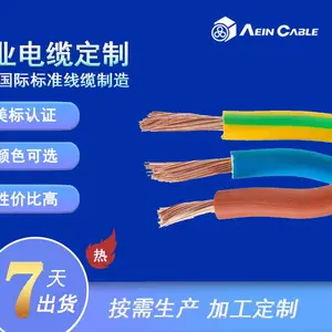 UL1032/NYY美标欧标双认证电缆 美标电子线