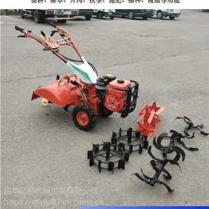 �ڽ��԰�������ݻ� �ӱ�С������������ С������������