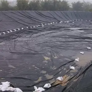 土工膜-鑫凯土工材料无差价-防渗土工膜厂家