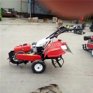 �����ĳ�������� ũ���������ͺ� ��԰����������