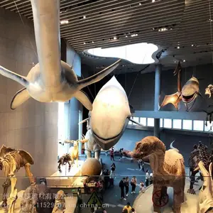 ����ͨ�컨��������װ�ν����̳�����װ��U���Ͳ�����ͨ