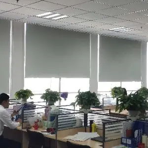 �нӰ칫����***ȫ�ڹⴰ��