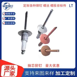 大扁圆头台阶抽芯铆钉货架不锈钢板材固定的铆钉机柜拉钉封闭型