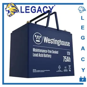 WESTINGHOUSE����WD2-200 WD2-300 WD2-400 WD2-500�����豸