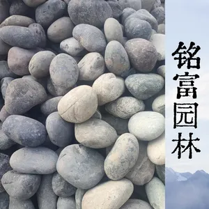 变电站变压器填料鹅卵石5-8cm 过滤隔油鹅卵石 工程大批量可发货