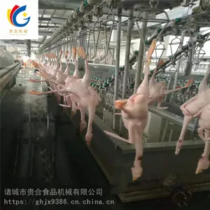 广西鸡鸭鹅共用自动宰杀流水线 麻鸭屠宰流水线 鸭子屠宰生产线厂家报价