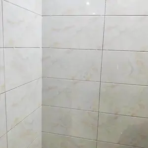 ������˹���ʦ�Ƽ�����ǽש����������ש�������ש��ɫ����ש