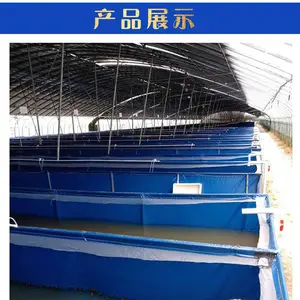 南美白对虾养殖水池 工厂化管理养殖 定做大型养殖帆布水池