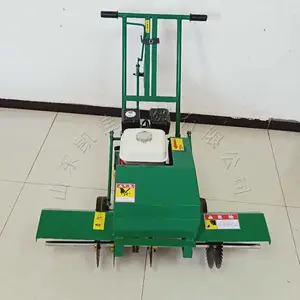 ��ƺ���߻� ��ֲ��ƺ���߻� ��Ȼ��Ƥ��ֲ�� �ݳ���ƺ���߻�