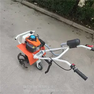 �³��ĳ�������������ݻ� ���С�͹�԰���ػ� ������������������