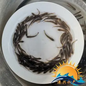 �������۸��ֹ���������� ��/��/��/������ ���˵�ˮ��������