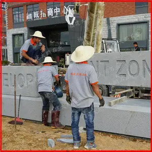 公司广场门牌石 花岗岩三维字 福建泉州石雕厂 福建大鹏石业