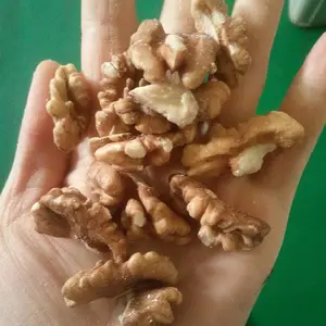 ������ �����ʳ��ڳ��� �������������� �׶�·������
