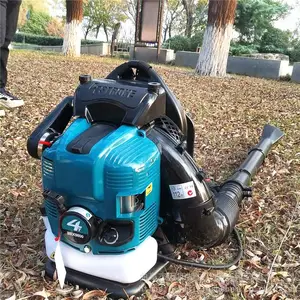 ԰�ִ���������ʽ��ѩ��·�汣�വ����·�������Ҷ�����