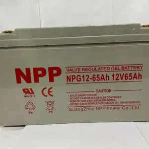 �½�̫���ܵ�ز�������������NPG2-1000AH̫���ܹ������2V1000AH