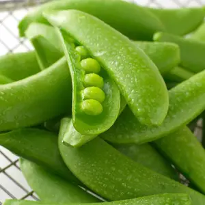 承包员工食堂 承包食堂 食堂外包 食堂管理专家