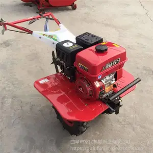 ***����������/���͸��ػ��ͺ�/��԰***������