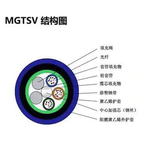 MGTSV-4B1.3������ȼ����4оú��ר��-ŷ�ڹ��³���