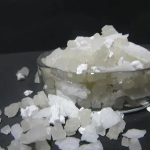 ������ɫ��״��ѩ��������·����