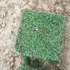 ��������Ƥ ���ݰ�˳��̬���̹����õ����ʲ��ֳ��ۼ۸� ��������