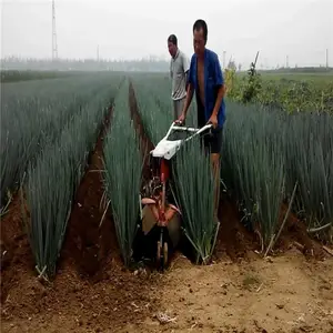 �����Ͽ�����¢�� չ���ַ���������������