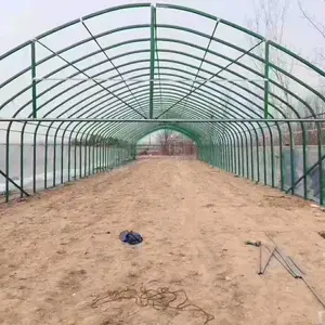 温室大棚厂家 蔬菜 养殖大棚及各种配件