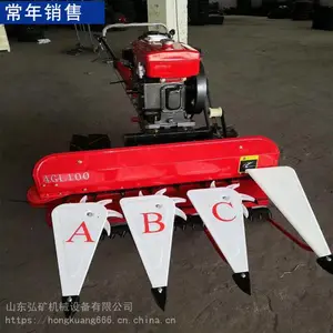 ���ʹ�������ɹ�� С����������� ũ����ո��ո������