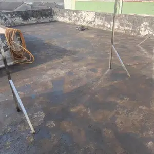 տ����������������Ч�ʿ쿭ʢ