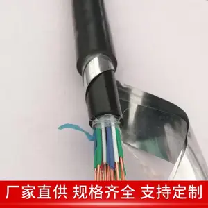 PTYL23��װ��������·�źŵ��� 4*1.0 ��Ͳ ����ϵͳ�� ��ɹ��ˮ