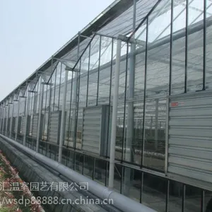 玻璃温室大棚价格多少钱?千汇牌智能温室建造