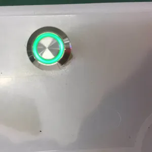设备12mm自复带灯平头按钮开关
