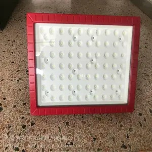 LED防爆路道灯100W120W150W200W照明路灯