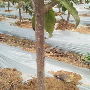 �µ��Ǵ�ӣ������� �µ��Ǵ�ӣ������� �µ��Ǵ�ӣ���缼��