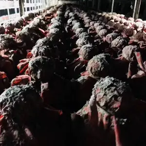 药酒定制厂家手续